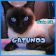 Download Gatunos... For PC Windows and Mac 1.0