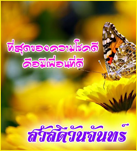 สวัสดีตอนเช้า สวัสดีวันจันทร์