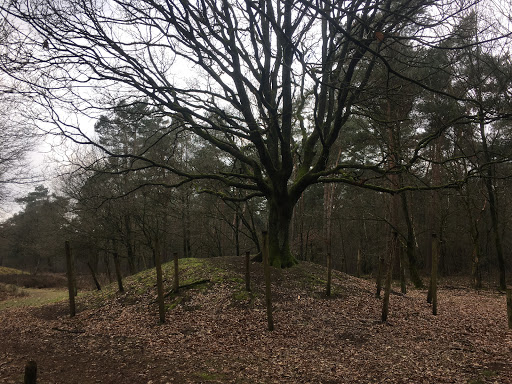 Veldhoven Oerle Toterfout Graf