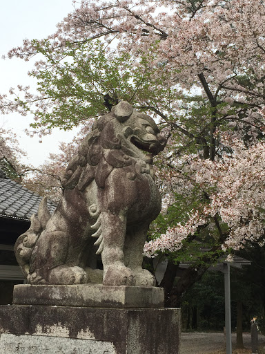 護国神社 狛犬