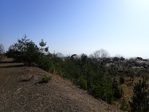 右下に庭田山頂公園