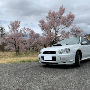 インプレッサ WRX STI GDB