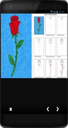 Step by step Drawing Rose