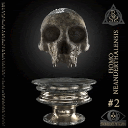 Homo Neanderthalensis // SKULLOPTIKON #2