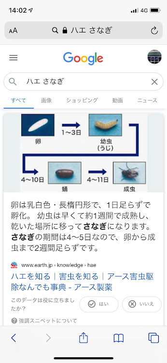 の投稿画像5枚目