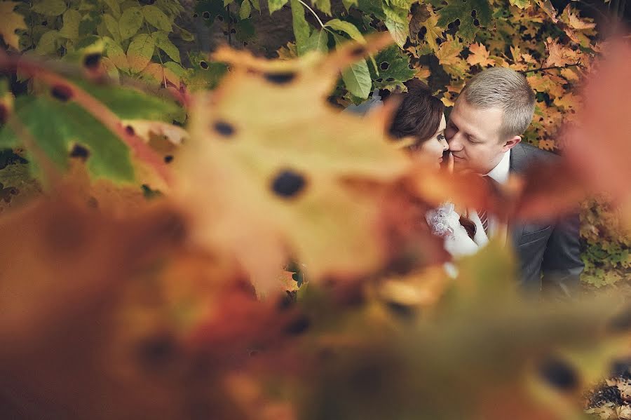 Hochzeitsfotograf Ilona Nikolaeva (nikolajeva). Foto vom 9. September 2015