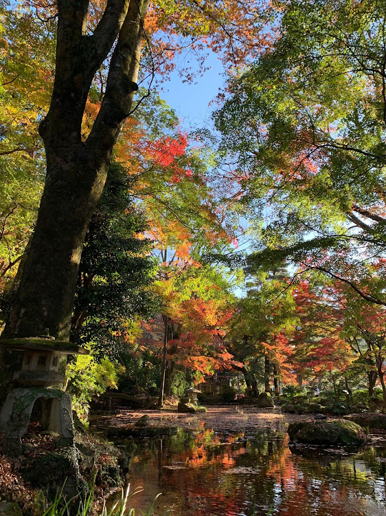 の投稿画像4枚目