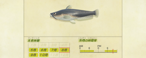 あつ森 ナマズ の値段と捕まえるコツ あつまれどうぶつの森攻略wiki 神ゲー攻略