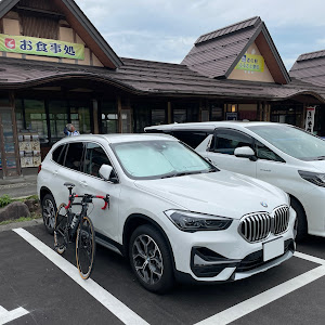 X1 xDrive 18d