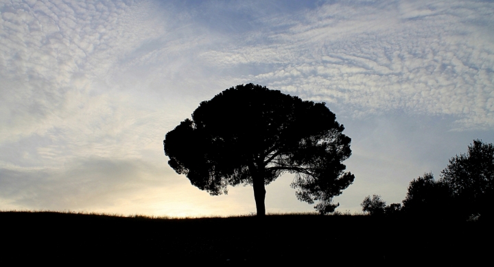 Aspettando la notte di Franca Graziani