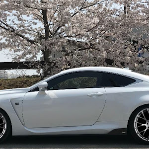 RSR Ti DOWN SUSPENSION RC F 取り付けのパーツレビュー｜車の