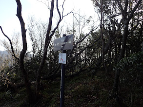 霧ヶ岳分岐