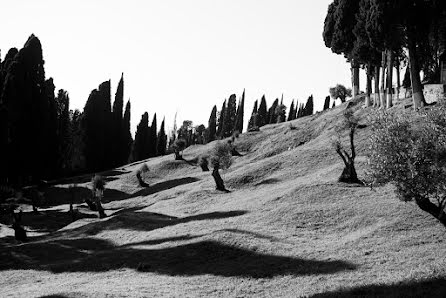 Fotografo di matrimoni Denis Aliferenko (alifer). Foto del 10 maggio 2020