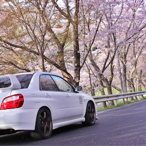 インプレッサ WRX STI GDB