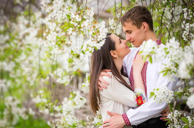 Fotografo di matrimoni Andrey Sinenkiy (sinenkiy). Foto del 20 febbraio 2016