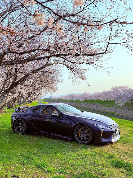LCの桜と愛車・桜シーズン開幕・ドライブに関するカスタム事例の投稿画像1枚目