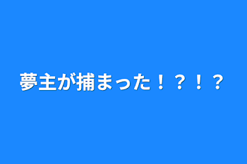 夢主が捕まった！？！？