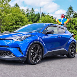 C-HR ZYX10