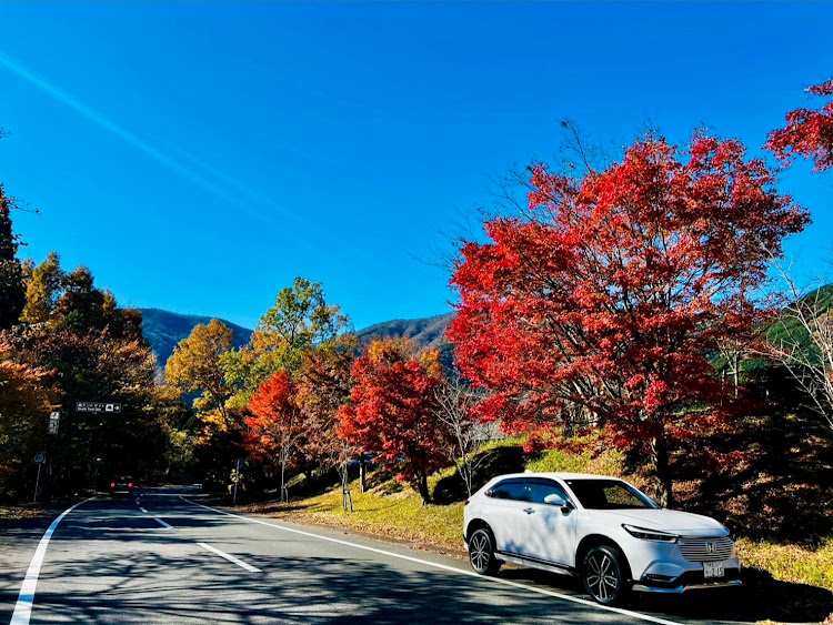 ヴェゼルの富士山・秋晴れ・紅葉・ほうとう・神社に関するカスタム事例の投稿画像3枚目