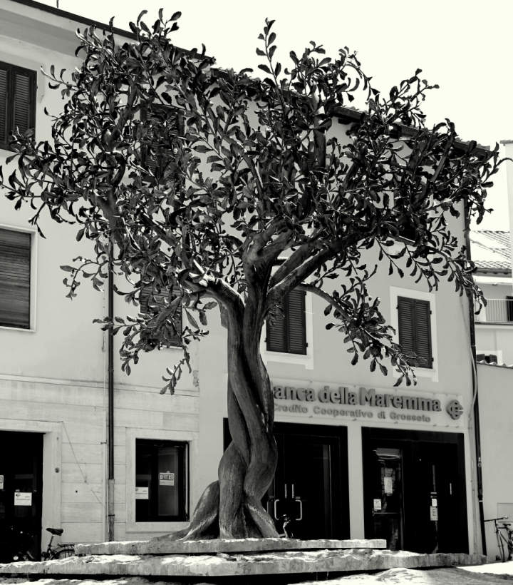 Attratto dalla natura.... di acinogitano