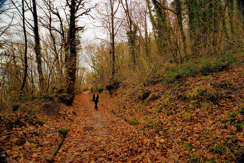 Passeggiata D'Autunno di cesare carusio