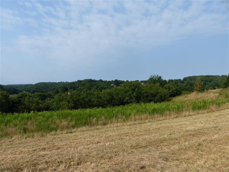 Vente terrain  4616 m² à Prats-du-Périgord (24550), 66 000 €