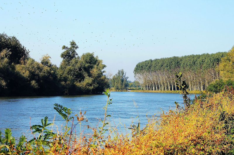 ottobre in silenzio lungo il fiume di fmspino