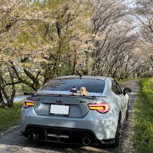 BRZ ZC6