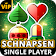 Schnapsen Offline  icon