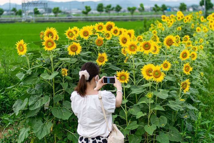 の投稿画像10枚目