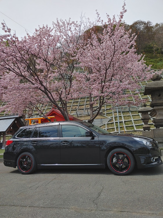 レガシィツーリングワゴンの桜コラボ🌸・桜満開ですに関するカスタム事例の投稿画像3枚目