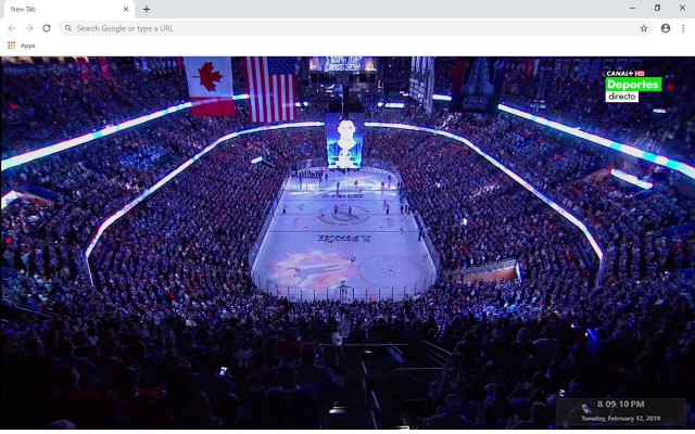 NHL Tampa Bay Lightning New Tab Theme