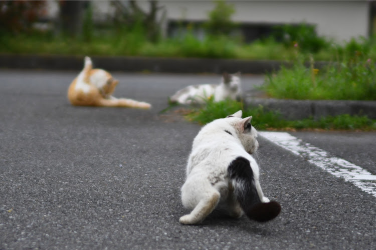 の投稿画像20枚目