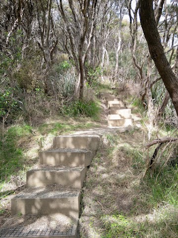 Te Whara Track Stairways