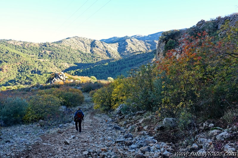 Cornicabral del Valle de Lifa