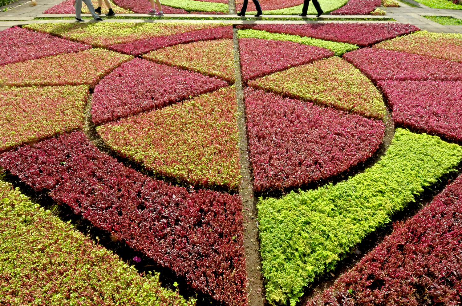 Simmetrie in giardino di Croatti Carlo