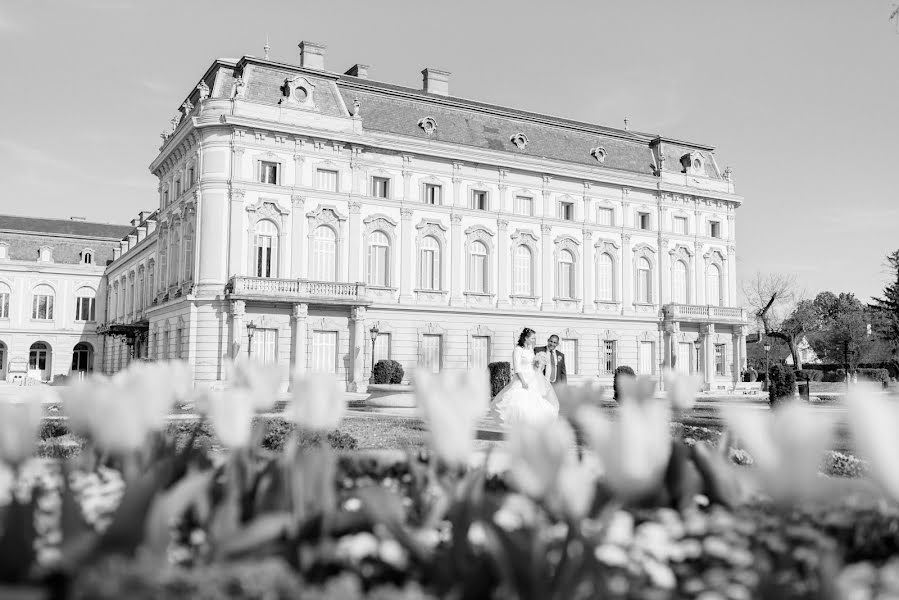 Fotografer pernikahan Krisztián Horváth (kristoban). Foto tanggal 29 April 2022