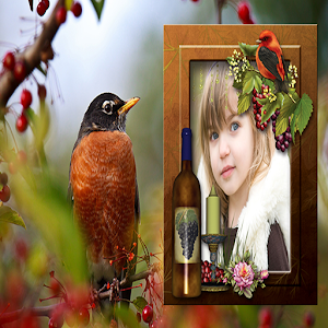 Download Bird Photo Frames For PC Windows and Mac