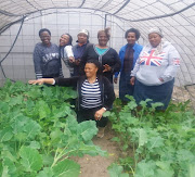 Women of Peace’s Garden Project flourishing in the township.