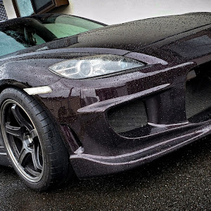 RX-8 SE3P