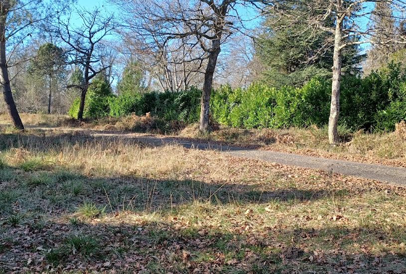  Vente Terrain à bâtir - 1 200m² à Angoumé (40990) 