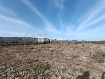 terrain à Opoul-Périllos (66)