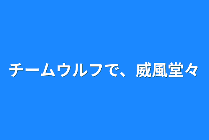 「チームウルフで、威風堂々」のメインビジュアル