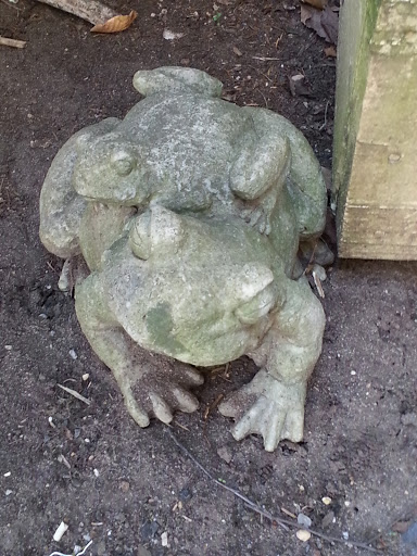 Stone Frog