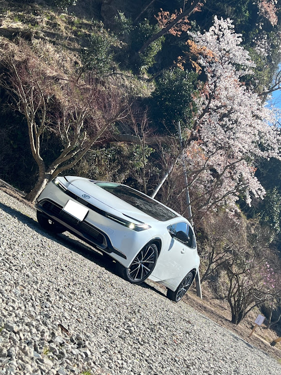 ましんさんが投稿したプリウス60系・新型プリウス・ドライブに関するカスタム事例の投稿画像1枚目