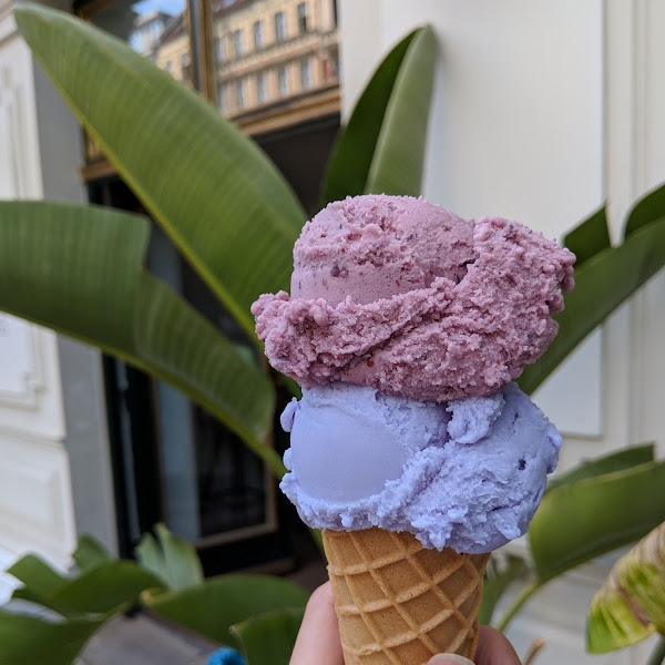 Blueberry yogurt (ok) and lemon coconut (delicious!)