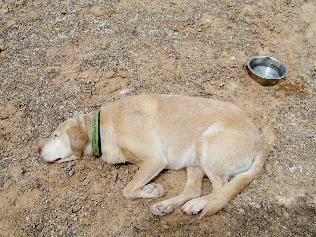 Jessie was really tired after the hike