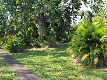 terrain à Baillif (971)