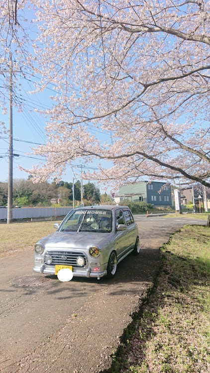 の投稿画像7枚目