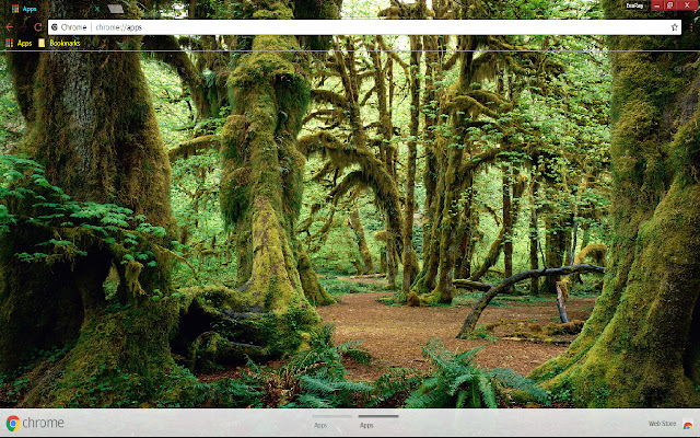 Earth Green Forest 1366*768 chrome extension